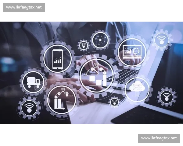 从宏观导向到执行落地的政策洞察与未来发展路径研究与趋势实践分析